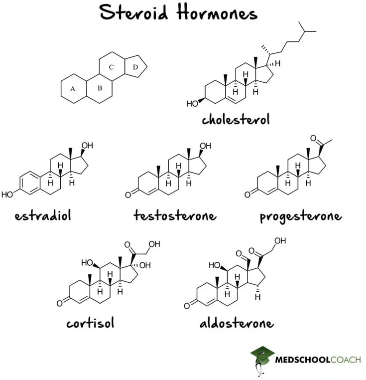 Structure of cholesterol versus cholesterol-derived steroid hormones