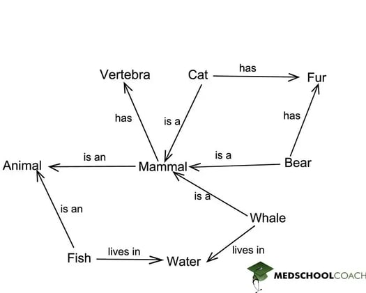 Semantic-Networks-and-Spreading-Activation-Figure-1-1