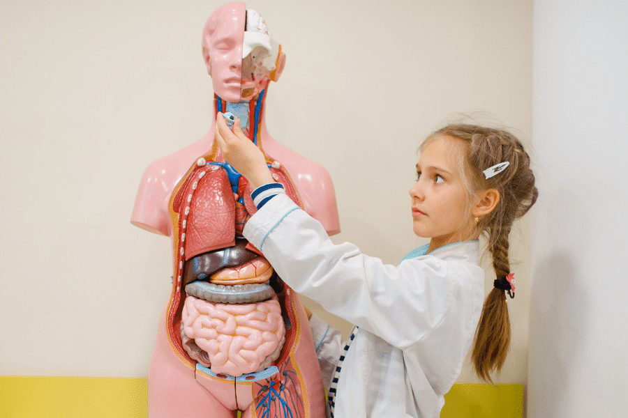 common-myths-about-medical-school